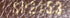 Victorine Wallet Monogram Empreinte Leather