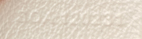 Saint Louis Tote Coated Canvas GM