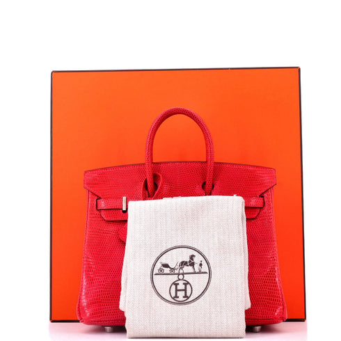 Birkin Handbag Rouge Moyen Lizard with Palladium Hardware 25