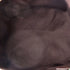 Front Pocket Web Messenger GG Canvas Medium