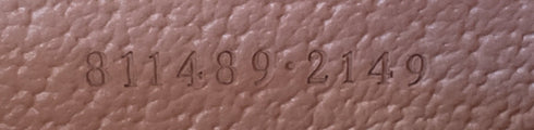 Savoy Beauty Case GG Coated Canvas with Leather Medium