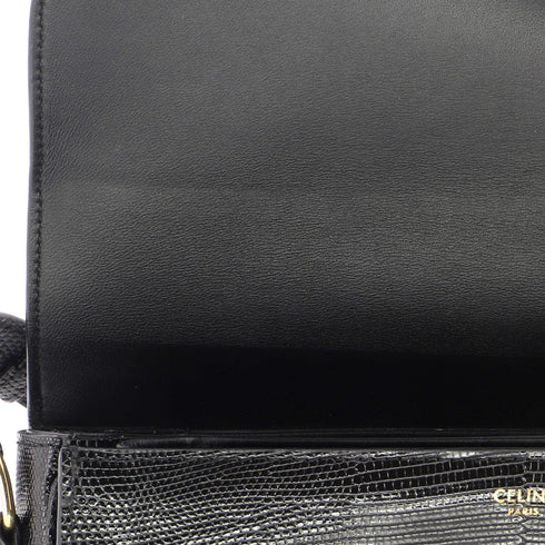 Triomphe Shoulder Bag Lizard Medium