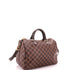 Speedy Bandouliere Bag Damier 30
