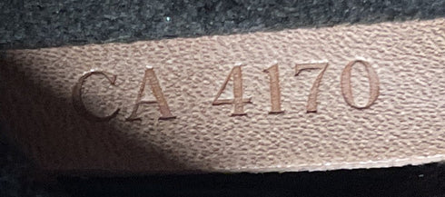 Wilshire Handbag Monogram Canvas GM