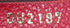 Speedy Bandouliere NM Bag Monogram Empreinte Leather 25