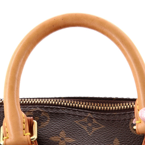Speedy Bandouliere Bag Monogram Canvas 25