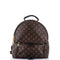 Palm Springs Backpack Monogram Canvas MM
