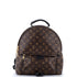 Palm Springs Backpack Monogram Canvas MM