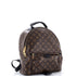 Palm Springs Backpack Monogram Canvas MM