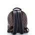 Palm Springs Backpack Monogram Canvas MM