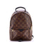 Palm Springs Backpack Monogram Canvas PM