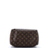 Speedy Handbag Monogram Canvas 25