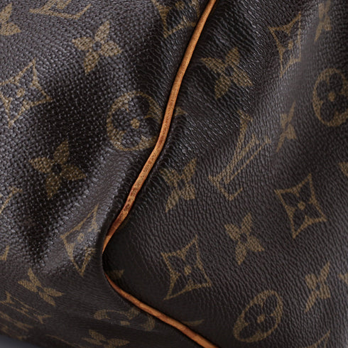 Speedy Handbag Monogram Canvas 25