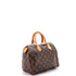Speedy Handbag Monogram Canvas 25
