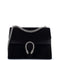 Dionysus Bag Suede Medium