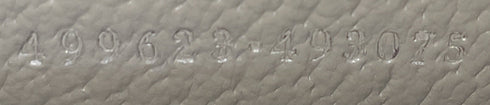 Dionysus Bag GG Coated Canvas with Leather Small