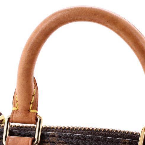 Speedy Bandouliere NM Bag Monogram Canvas Nano