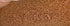 Deauville Handbag Monogram Canvas