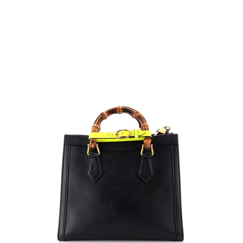 Diana NM Bamboo Handle Tote Leather Small