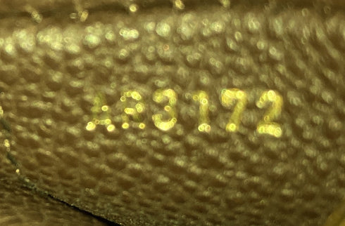 Audacieuse Handbag Monogram Empreinte Leather PM