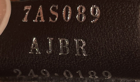Fendigraphy Bag Leather Nano