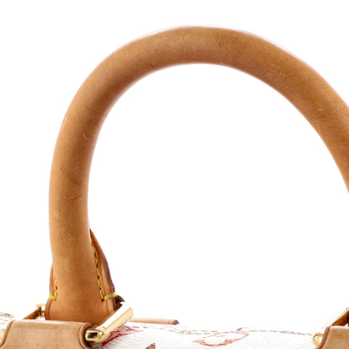Speedy Handbag Monogram Multicolor 30