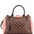 Brittany Handbag Damier