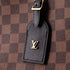 Odeon NM Handbag Damier MM