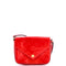 Sac Lucie Handbag Monogram Vernis Mini