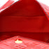 Sac Lucie Handbag Monogram Vernis Mini