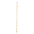 Kelly Chaine Bracelet 18K Yellow Gold Small