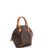 Ellipse Bag Monogram Canvas PM