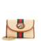 Rajah Web Chain Shoulder Bag Vintage Web Canvas Mini