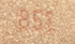 Sac Souple Handbag Monogram Canvas 45