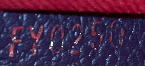 Felicie Pochette Monogram Empreinte Leather