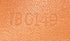 Speedy Bandouliere Bag Monogram Canvas Nano