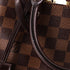 Brittany Handbag Damier