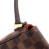 Recoleta Handbag Damier