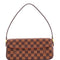 Recoleta Handbag Damier
