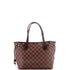 Neverfull Tote Damier PM