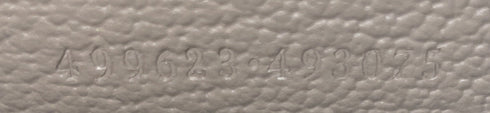 Dionysus Bag GG Coated Canvas with Leather Small