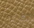Bearn Wallet Epsom Long