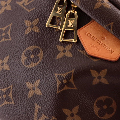 Bum Bag Monogram Canvas