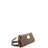 Eva Handbag Damier