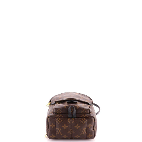 Palm Springs Backpack Monogram Canvas Mini