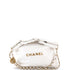 22 Chain Hobo Quilted Calfskin Small
