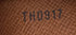 Amazone Bag Monogram Canvas MM