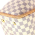 Propriano Handbag Damier