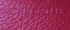 Chypre Wallet on Strap Coated Canvas with Leather