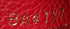 Venus Handbag Monogram Canvas and Leather